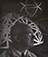 Nancy Newhall<br><em>Buckminster Fuller, Black Mountain College</em>, 1948</br>Gelatin silver contact print