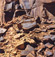 <em>Eroded Rocks</em>, 1953<br>Vintage dye-transfer print 