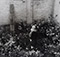 Ralph Eugene Meatyard (1925 - 1972)<br><em>Untitled</em>, c. 1968-69</br>Gelatin silver print 