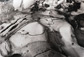 Walter Chappell<br /><em>Seastone Garden, Salt Point, California, </em> 1986</br>Gelatin silver print