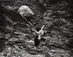 <em>Untitled (Nude on Cliff Wall)</em><br />Gelatin silver print<br />Image: 10 x 12 5/8"; Mount: 16 x 20" 