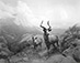 Hiroshi Sugimoto<br><em>Nyala</em>, 1980, printed 2013</br>Gelatin silver print 