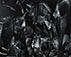 Paul Caponigro<br><em>Rock Wall, West Hartford, Connecticut</em>, 1959</br>Gelatin silver print<br>Image: 10 1/4 x 13"; Mount: 18 x 22"