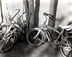 <em>Bikes</em>, 1984