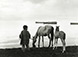 Manuel Carrillo<br><em>Catemaco, Veracruz</em>, 1956</br>Gelatin silver print 