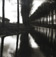 LYNN GEESAMAN (B. 1938)<br><em>Damme Belgium,</em> 1992</br>Gelatin silver print