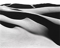 Edward Weston: The Photographer and Friends