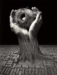 Jerry Uelsmann: Process and Perception